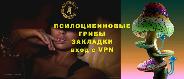 хмурый Волосово